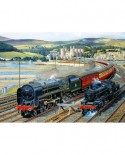 Puzzle Gibsons - Gateway to Snowdonia, 1000 piese (3123)
