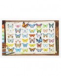 Puzzle din plastic Pintoo - Beautiful Butterflies, 1000 piese (H2027)