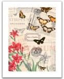 Puzzle din plastic Pintoo - Buttlerfly & Flower, 300 piese (H1585)