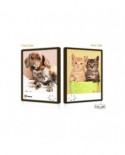 Puzzle din plastic Pintoo - Cat and Dog, 48 piese fata/verso (U1028)