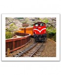 Puzzle din plastic Pintoo - Forest Train in Alishan National Park, Taiwan, 500 piese (H1482)