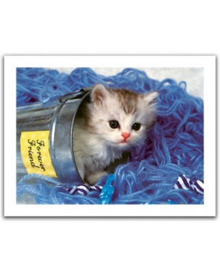 Puzzle din plastic Pintoo - Kitten, 300 piese (H1040)