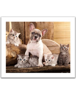 Puzzle din plastic Pintoo - Little Kittens and A Dog, 500 piese (H1567)