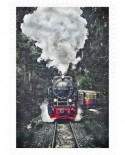 Puzzle din plastic Pintoo - The Steam Train, Switzerland, 600 piese (H2159)