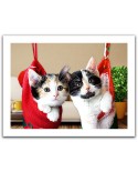 Puzzle din plastic Pintoo - Christmas kittens, 300 piese (H1387)