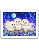 Puzzle din plastic Pintoo - Kayomi - Owl Triplets, 300 piese (H1953)