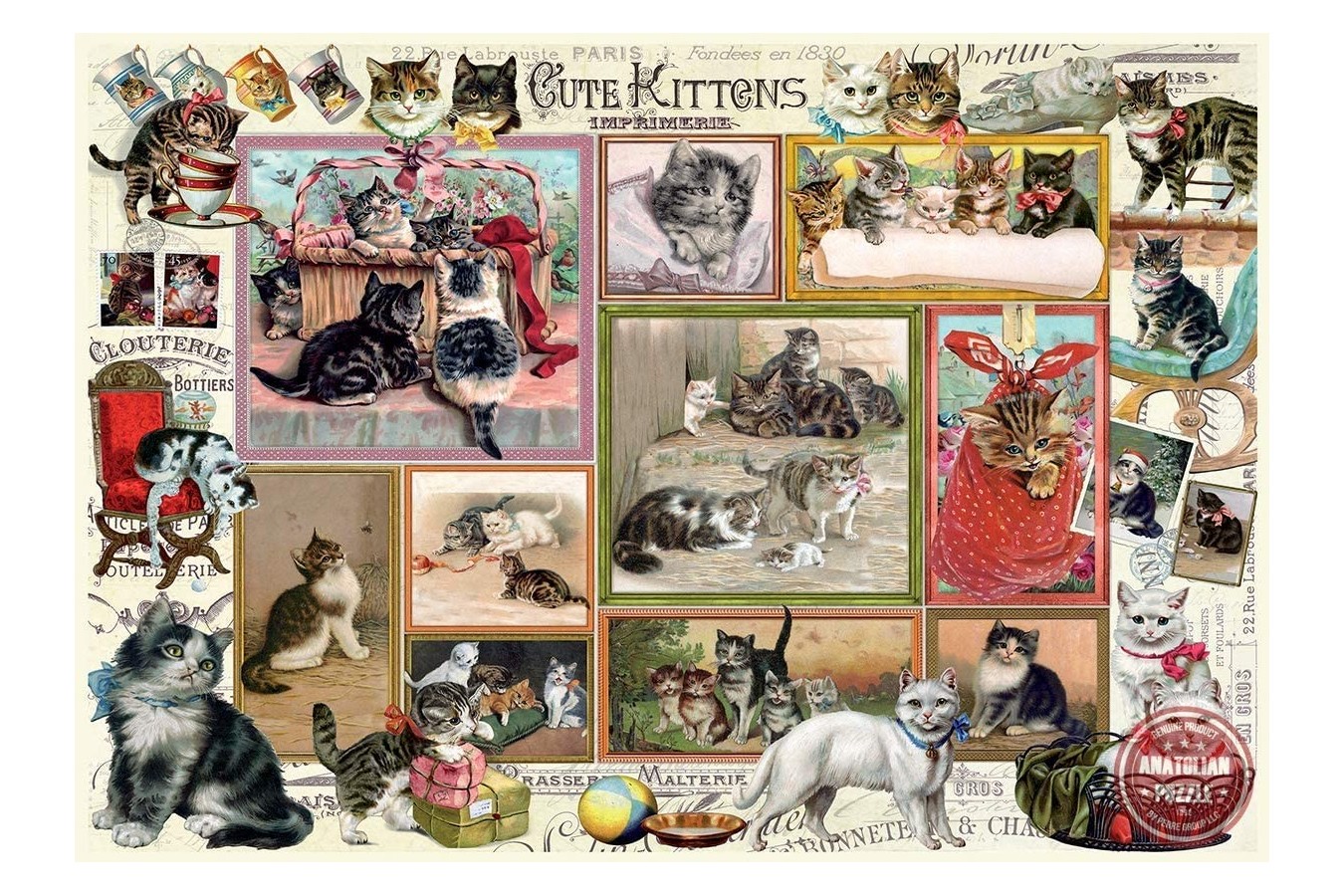 Puzzle Anatolian - Barbara Behr: Cute Kittens & Comical Dogs, 2x500 piese (P3611)