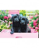 Puzzle Eurographics - Black Labs in Pink Box, 500 piese XXL (8500-5462)