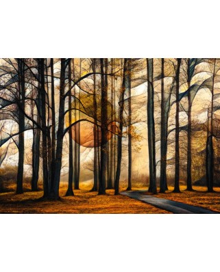 Puzzle Schmidt - Magical Forest, 1000 piese (58396)