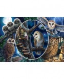 Puzzle Schmidt - Lisa Parker: Mysterious Owls, 1000 piese (59667)