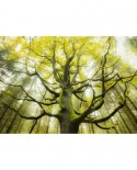 Puzzle Schmidt - Stefan Hefele: Dream Tree, 1000 piese (59669)