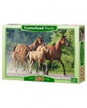 Puzzle Castorland - Purebred Arabians, 260 piese (B-27194)