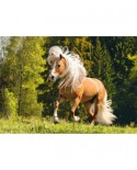 Puzzle Ravensburger - Lucky Horse, 1000 piese (15009)