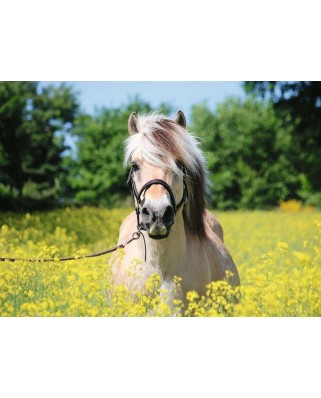 Puzzle Ravensburger - Horse in the Field of Flowers, 500 piese (15038)