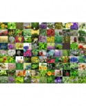 Puzzle Ravensburger - 99 Herbs and Spices, 1000 piese (15991)