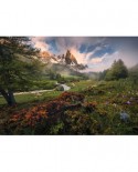 Puzzle Ravensburger - Nature Edition No 17 - Claree Valley, 1000 piese (15993)