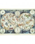 Puzzle Ravensburger - Fantastic Beasts World Map, 1500 piese (16003)