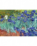 Puzzle TinyPuzzle - Vincent Van Gogh: Irises, 99 piese (1018)