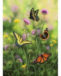 Puzzle SunsOut - Butterflies & Thistle, 500 piese (Sunsout-30921)