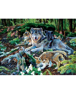 Puzzle SunsOut - Jan Martin McGuire: Forest Wolf Family, 500 piese (Sunsout-60506)