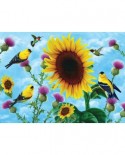 Puzzle SunsOut - Jerry Gadamus: Sunflowers and Songbirds, 500 piese (Sunsout-49038)