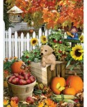 Puzzle SunsOut - Lori Schory: Harvest Puppy, 300 piese XXL (Sunsout-35140)