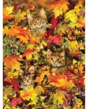 Puzzle SunsOut - Lori Schory: Kitties at Play, 300 piese XXL (Sunsout-35059)