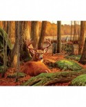 Puzzle SunsOut - Where Sleeping Deer Lie, 500 piese (Sunsout-50133)