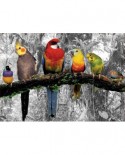 Puzzle de colorat Educa - Birds In The Jungle - Coloured B&W, 500 piese, include lipici (17984)