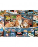 Puzzle Educa - Travelling Kittens, 200 piese (18065)