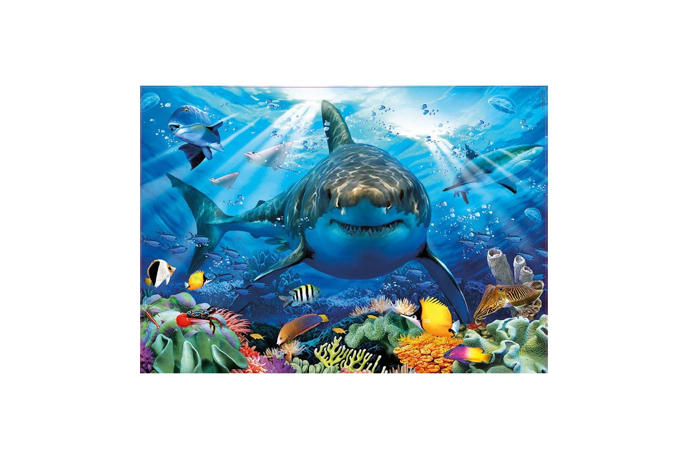 Puzzle Educa - Great White Shark, 500 piese, include lipici (18478)
