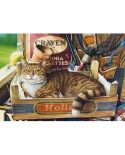 Puzzle Castorland - Fothergill, 500 piese (53476)