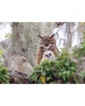 Puzzle Cobble Hill - Great Horned Owl, 1000 piese (Cobble-Hill-80246)
