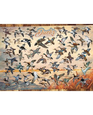 Puzzle Cobble Hill - Ducks of North America, 1000 piese (Cobble-Hill-80263)