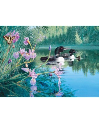 Puzzle Cobble Hill - Iris Cove Loons, 500 piese XXL (Cobble-Hill-85069)