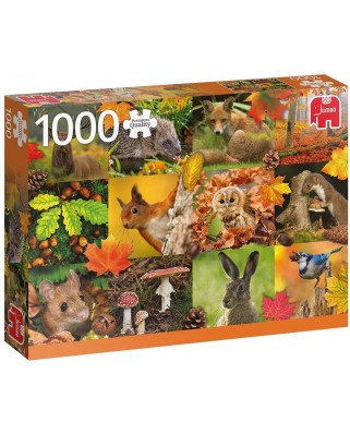 Puzzle Jumbo - Autumn Animals, 1000 piese (18863)