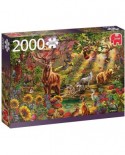 Puzzle Jumbo - Magic Forest at Sunset, 2000 piese (18868)