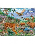 Puzzle Larsen - The Amur Tiger in Siberian Summer, 36 piese (FH39)