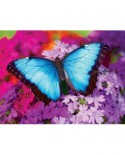 Puzzle Master Pieces - Iridescence - Butterfly, 550 piese (Master-Pieces-31622)
