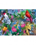 Puzzle Master Pieces - Songbird Collage, 1000 piese (Master-Pieces-31977)