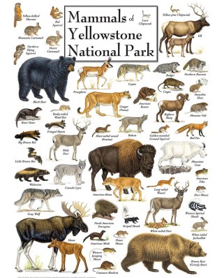 Puzzle Master Pieces - Mammals of Yellowstone National Park, 1000 piese (Master-Pieces-71974)
