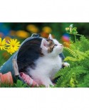 Puzzle Nathan - Curious Little Kitten, 250 piese (86876)
