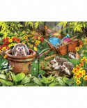 Puzzle SunsOut - Lori Schory: Hedgehogs and Bees, 300 piese (Sunsout-35057)