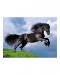 Puzzle Clementoni - Fresian Black Horse, 500 piese (35071)