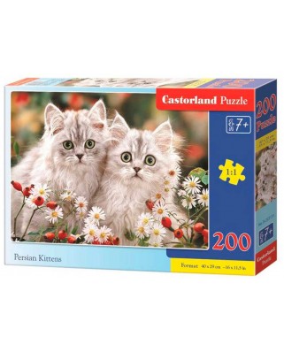 Puzzle Castorland - Persian Kittens, 200 piese (222131)