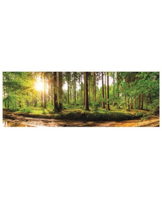 Puzzle panoramic Dino - Dawn in the Forest, 2000 piese (56206)