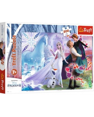Puzzle Trefl - Frozen II, 200 piese (13265)