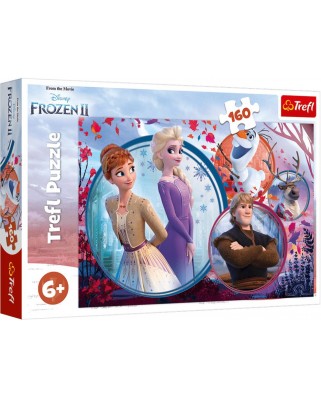 Puzzle Trefl - Frozen II, 160 piese (15374)