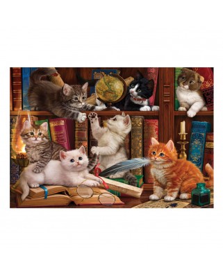 Puzzle Anatolian - Cats and Books, 500 piese (3618)