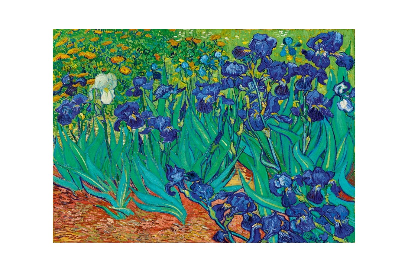 Puzzle 1000 piese - Vincent Van Gogh: Irises, 1889 (Art-by-Bluebird-60006)